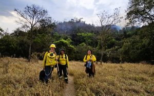 Leia mais sobre o artigo MULHERES CONTRA O FOGO NA DEFESA AMBIENTAL