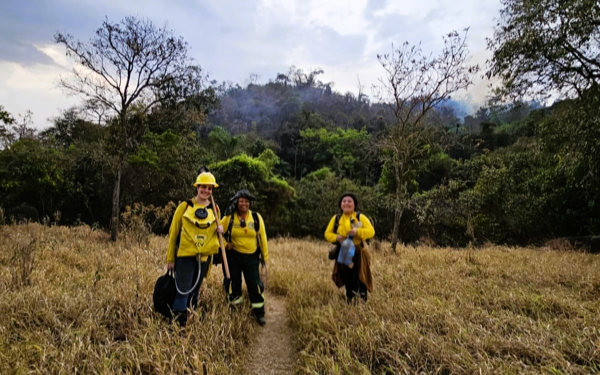 Leia mais sobre o artigo MULHERES CONTRA O FOGO NA DEFESA AMBIENTAL